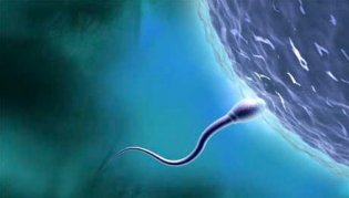 Как повысить фертильность? Советы женщинам. Часть 2